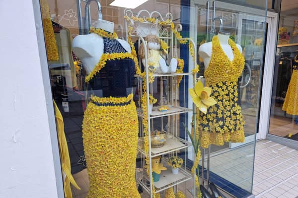 Daffodils are filling the window of the Marie Curie charity shop in Worthing town centre this March, highlighting the annual Great Daffodil Appeal, supported this year by actor James Nesbitt