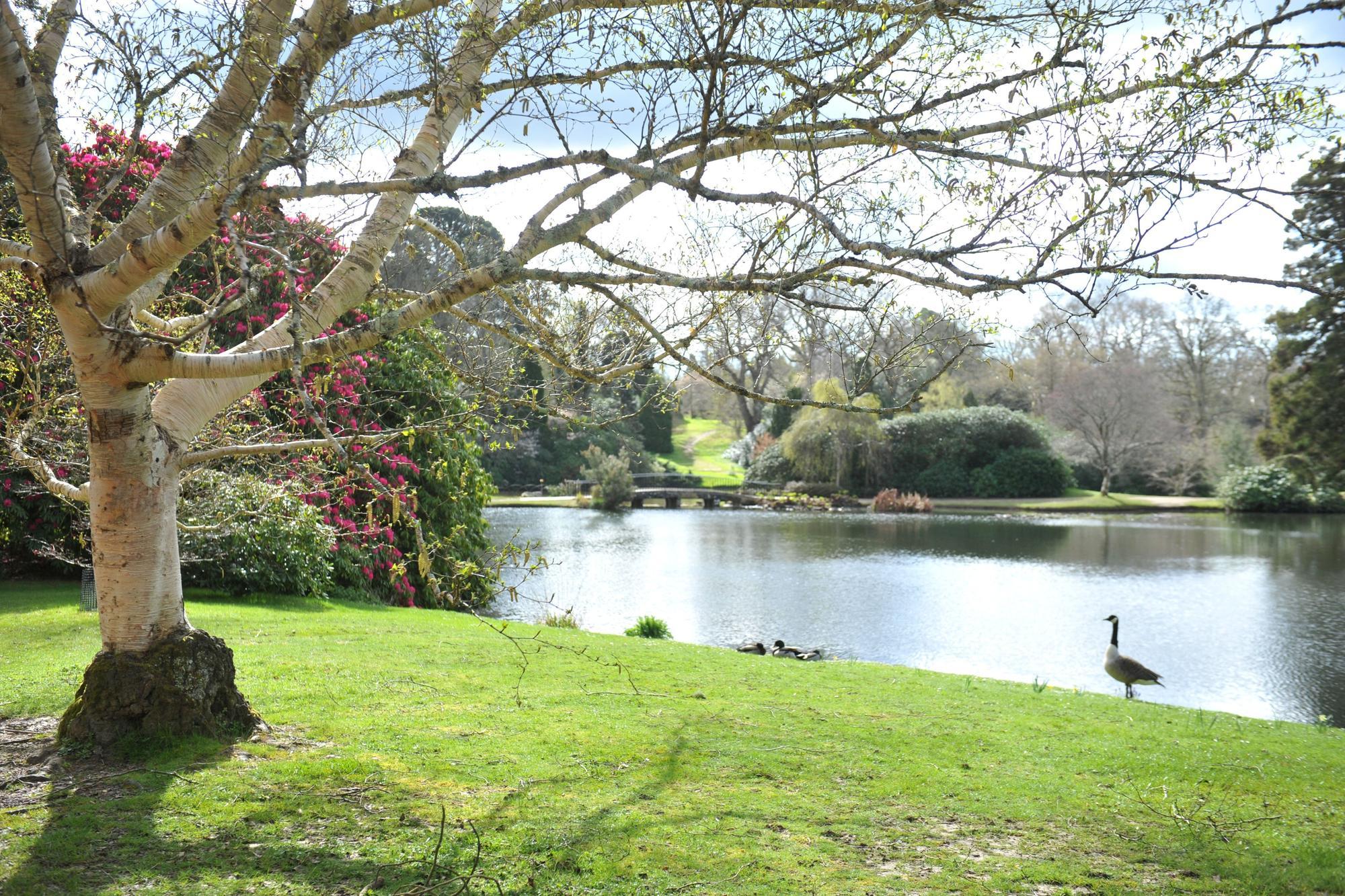 Top National Trust places in Sussex to visit this May half term - Vimarsana News