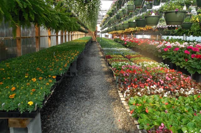 Horsham has a plethora of great garden centres, here are 9 of the best, according to Google reviews