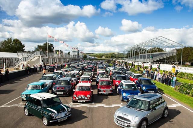 Minis return to Goodwood to raise funds for children living in poverty