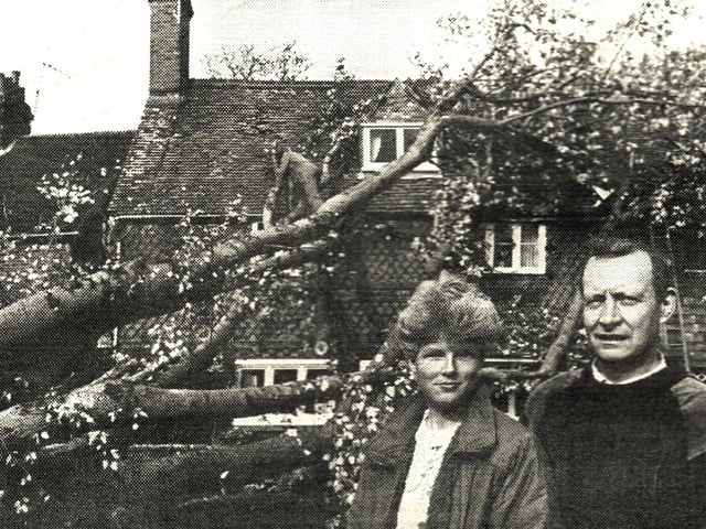 Another tree down after the Great Storm in Crawley