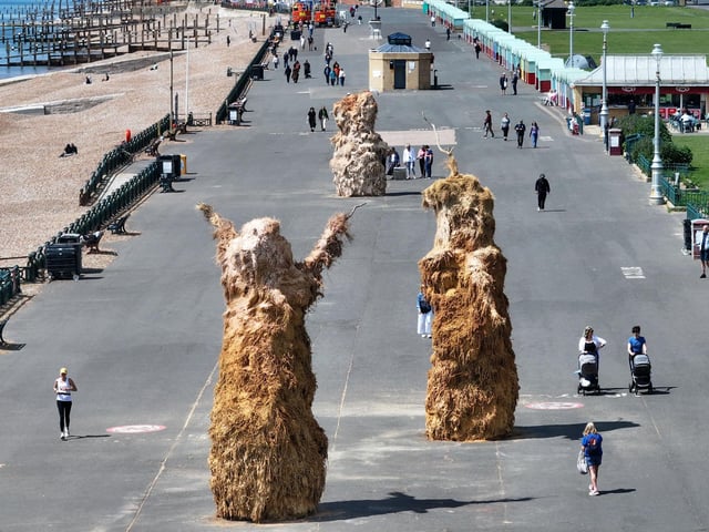 Soft Machines is a new public artwork by Ivan Morison on Hove seafront