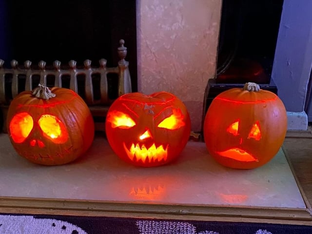 Pumpkin picture provided by Tom Ansell