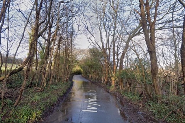 An anonymous resident said: "There is a water-filled pothole and a large area of extremely broken road surface on north side of The Ridge between St. Helens Down and Ivyhouse Lane."