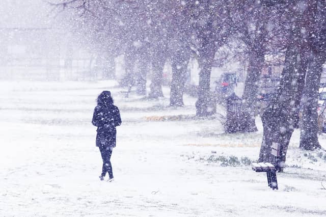 The Beast from the East hit Worthing five years ago, painting the town white in February 2018