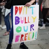 XL Bully owners in Sussex are being urged to ensure they are prepared for the Government ban which comes into effect at the end of the year. Photo of a supporter of the dog breed protesting against the Government ban. Credit: HENRY NICHOLLS / AFP via Getty Images.