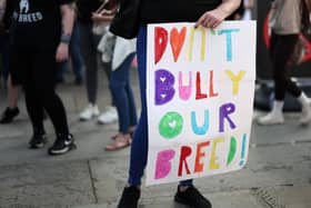 XL Bully owners in Sussex are being urged to ensure they are prepared for the Government ban which comes into effect at the end of the year. Photo of a supporter of the dog breed protesting against the Government ban. Credit: HENRY NICHOLLS / AFP via Getty Images.