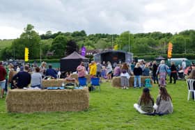 Lewes Music Festival