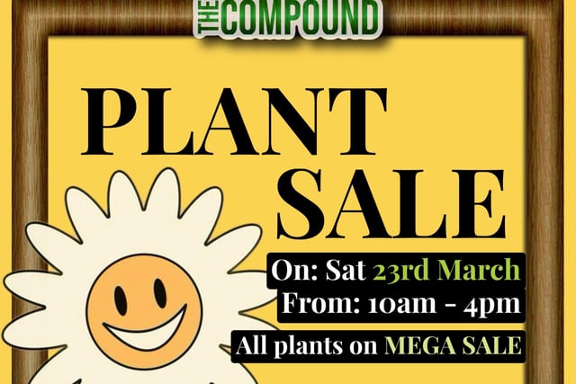 Plant Sale at The Compound, Bexhill Road.