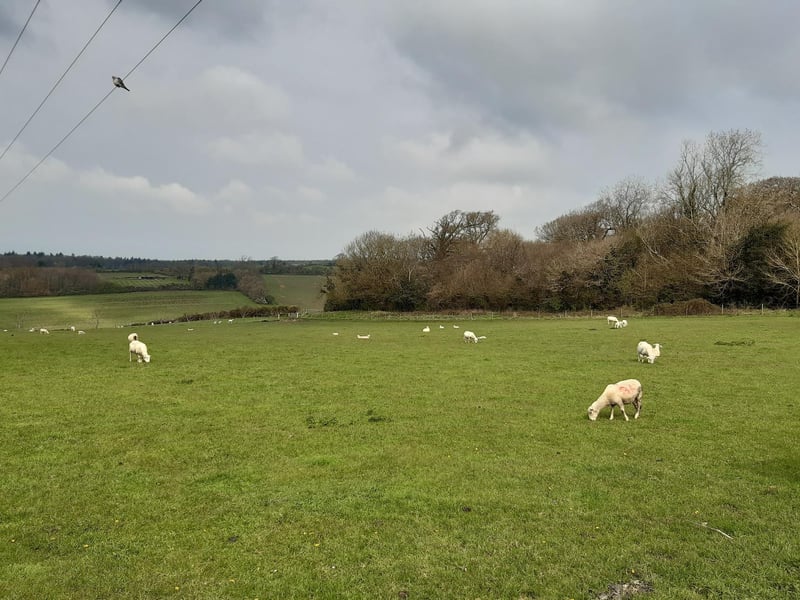 You will see views over to Patching and Angmering Park as you walk up to the church