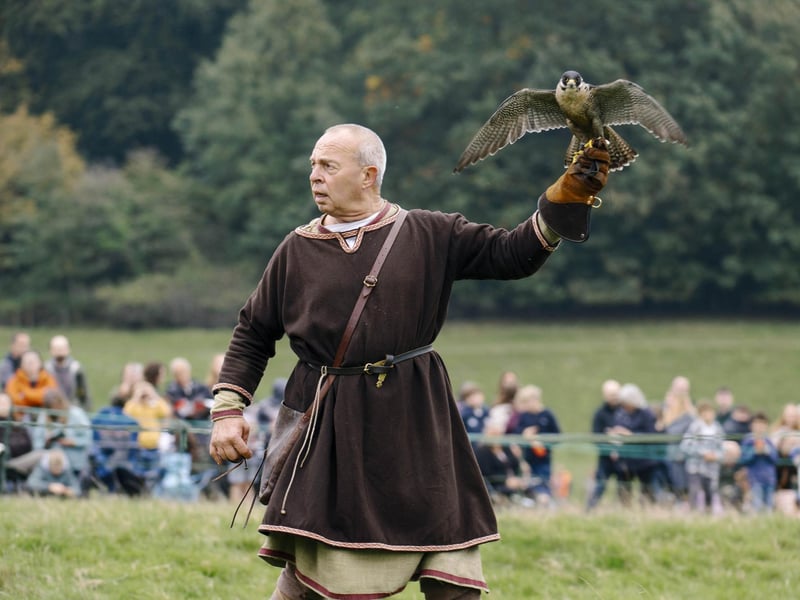 Battle of Hastings reenactment at Battle Abbey 2025. Pic supplied by Tom Arber/English Heritage.