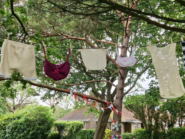 An interesting collection of underwear hanging on a washing line