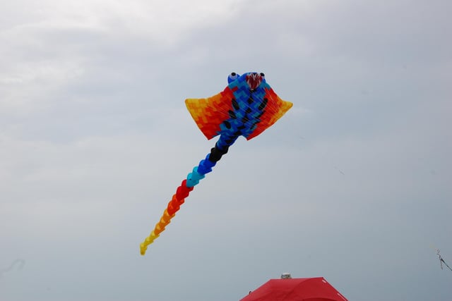 Selsey Kite Festival: In Pictures