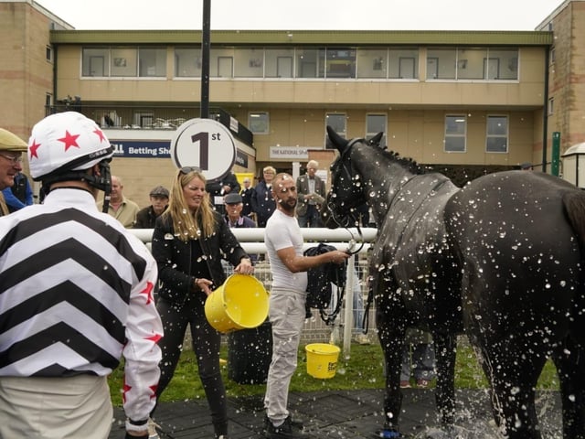 Fontwell Park jump racing action, October 2026