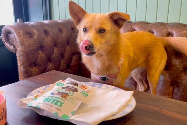 I took my dog along to try the new doggy menu at Bill’s which was released today (Monday, March 27) – here’s what she thought.