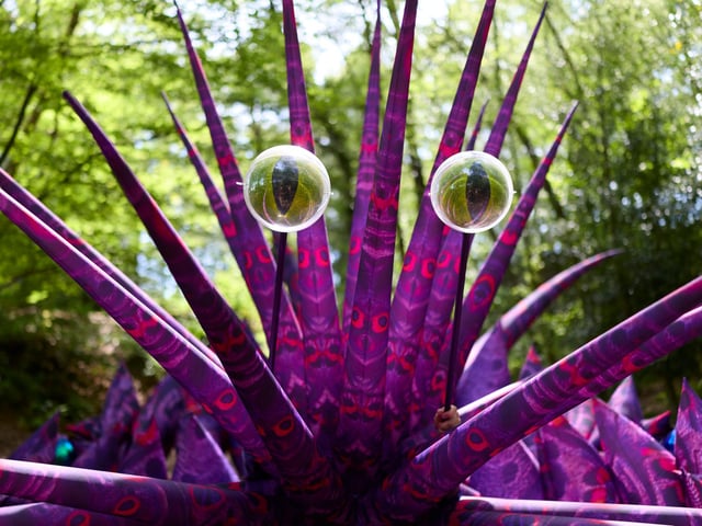 First look at Poppet - the giant puppet in Ashdown Forest. Photograph by David Levene 22/5/26