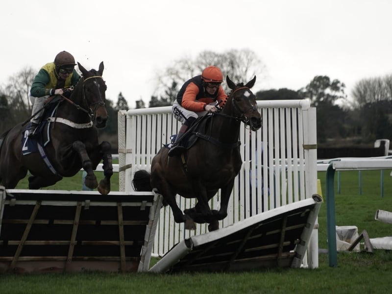 National Spirit Hurdle race day 2026 at Fontwell Park