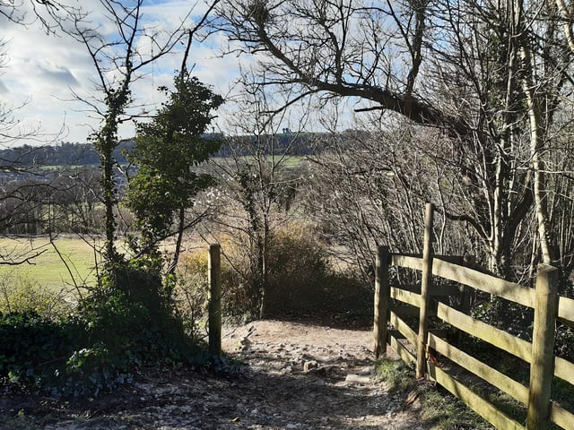 Continue down through the gap and take a left into the next field.
