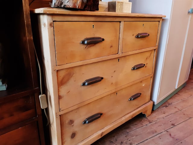 Eclectic Home, in Worthing, is run by Julia Rochford