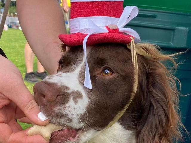 Wearing a hat deserves a doggy treat
