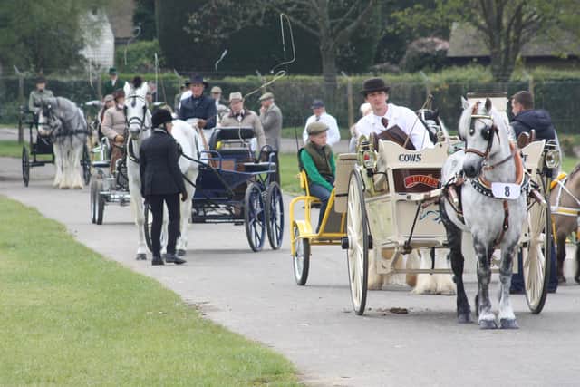 The London Harness Horse Parade is at the South of England Centre in Ardingly on Easter Monday, April 10