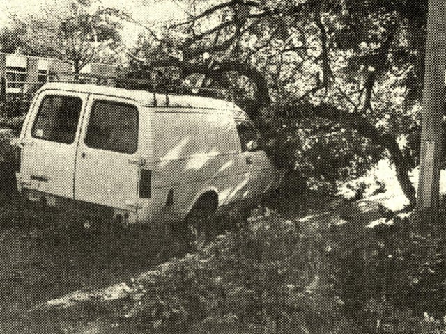 Great Storm 1987 - Crawley