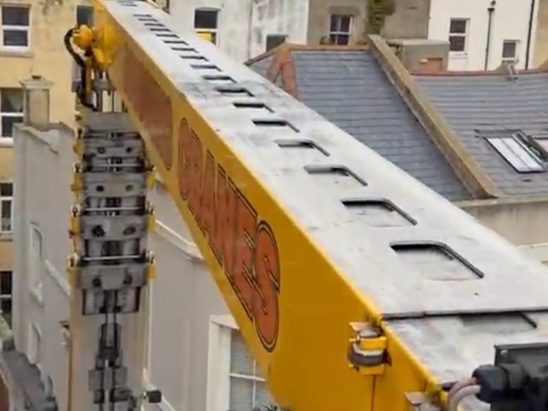 Bird rescued from Hastings Library building by using giant crane