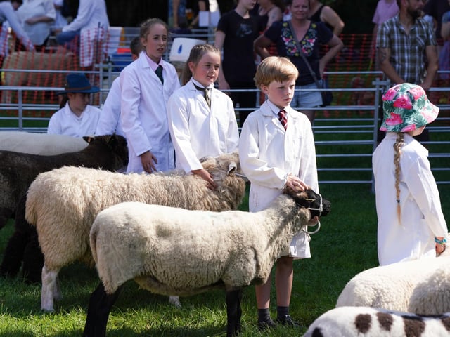 Huge crowds were in Findon today (September 9) to attend the world-famous sheep fair.