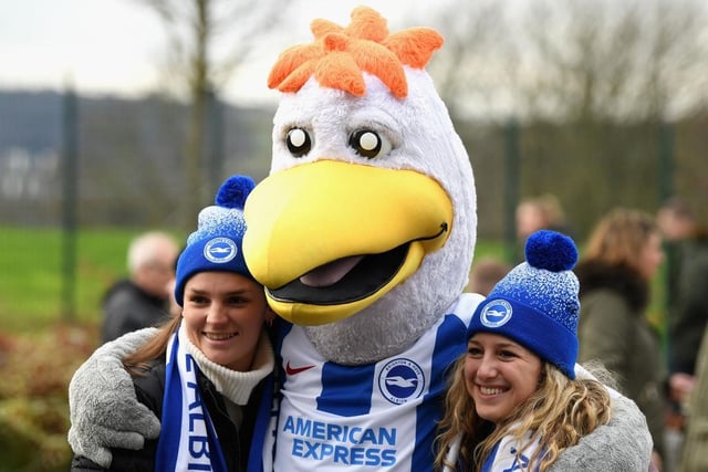 Fans pose with the club mascot ahead of the Premier League match between Brighton & Hove Albion and Everton FC at American Express Community Stadium on December 29, 2018.