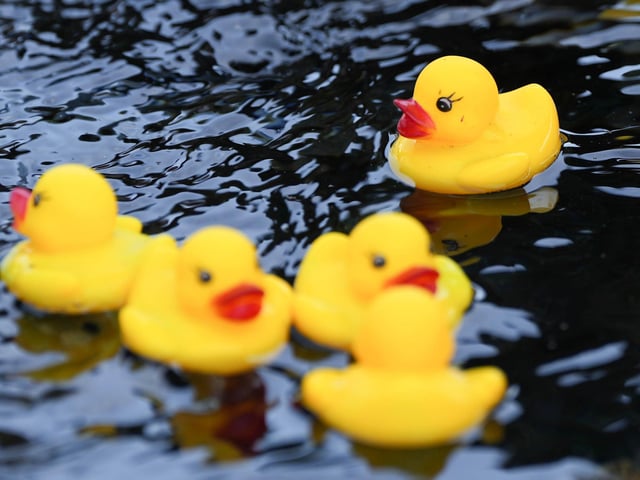 A Worthing resident put rubber ducks into a pond created by a water leak in Worthing