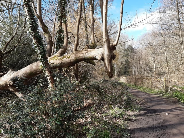 Take a walk from the high street and see if you can find this 'dragon' on the banks of the River Stor!