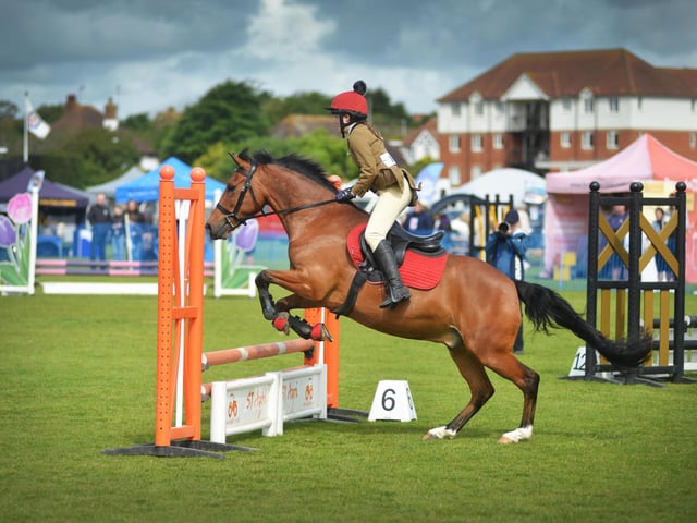 Bexhill Horse & Dog Show 2024.