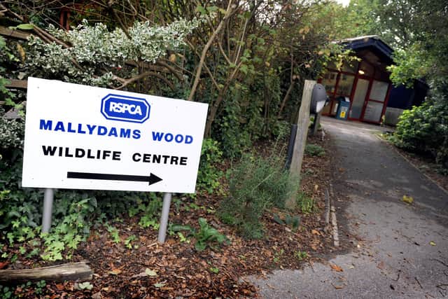 Mallydams Wood Wildlife Centre in Hastings has been forced to implement a strict no admittance policy and cull all birds at the centre under orders of the government following positive test results for avian influenza.