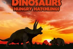 Dinosaurs: Hungry Hatchlings will open on Saturday 11 May at The Novium Museum