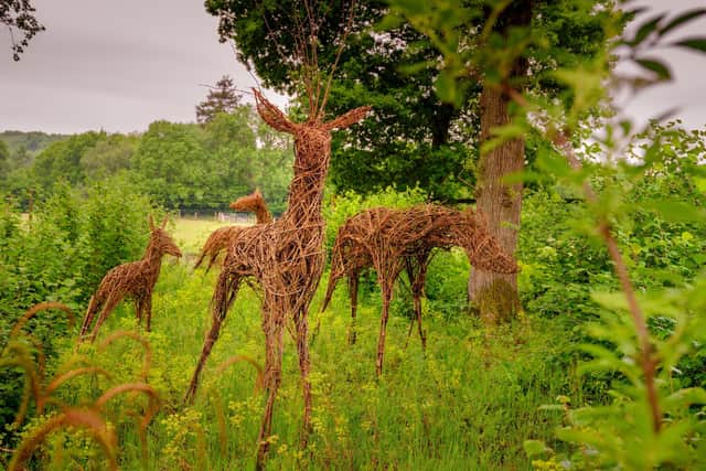 Sculpted willow animals at Wakehurst. Photo: Jim Holden