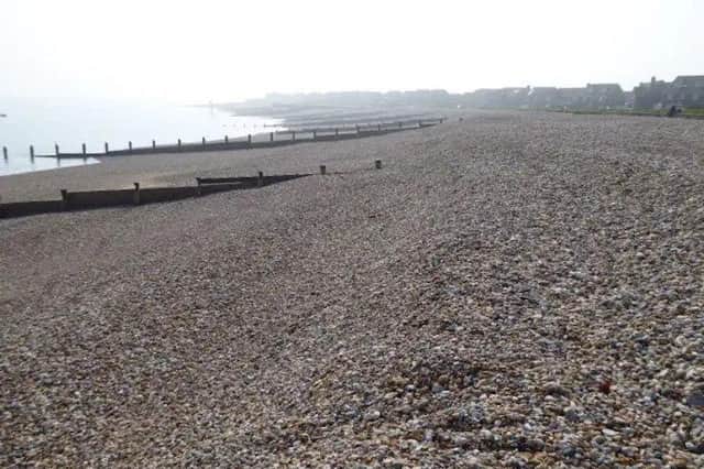 An appeal has been launched by a Sussex vet to find the owners of a "deceased young dog" who was found washed up on Selsey beach on New Year's Day.