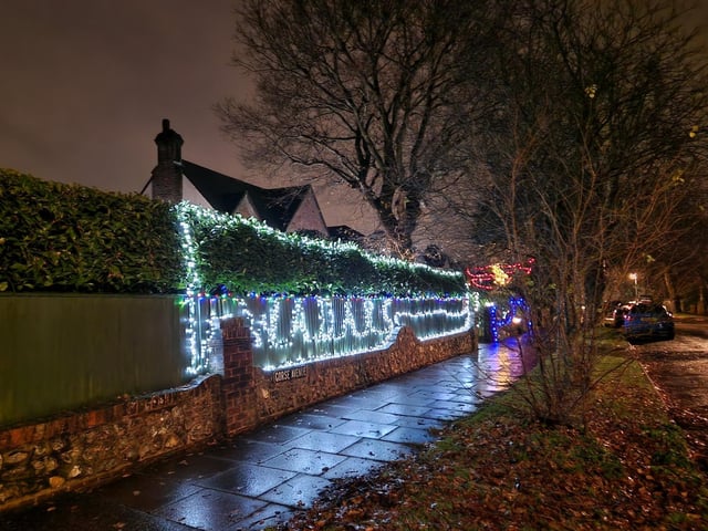 The animal-themed Christmas lights display at 22 Gorse Avenue, Worthing, has been put together by John Wollaston Landscapes and Property Maintenance to raise money for Wadars Animal Rescue Charity.