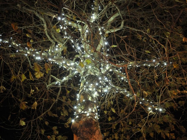 Christmas lights in Worthing.