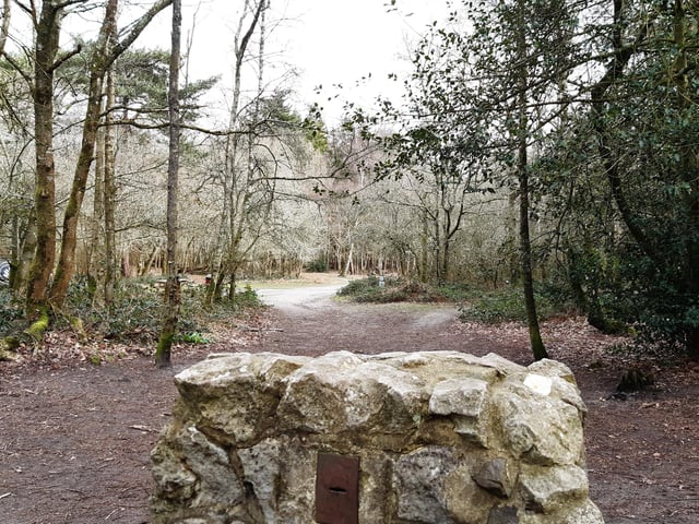 Walk through the car park and you will likely find the mobile coffee van, just through the trees on the left here