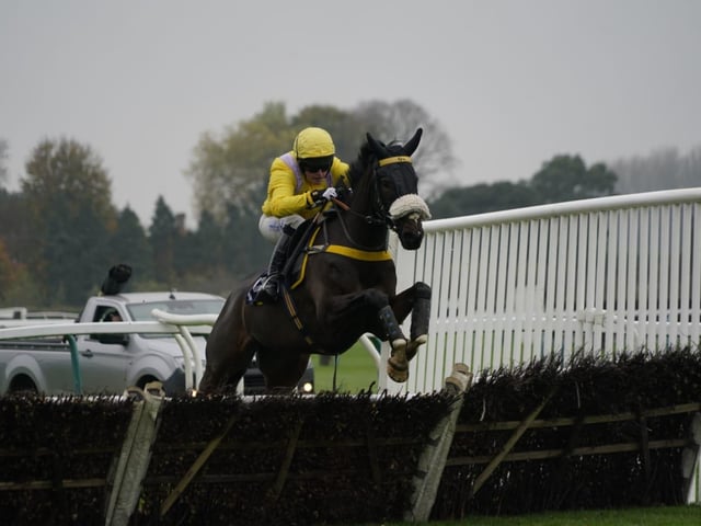 November jump racing at Fontwell Park