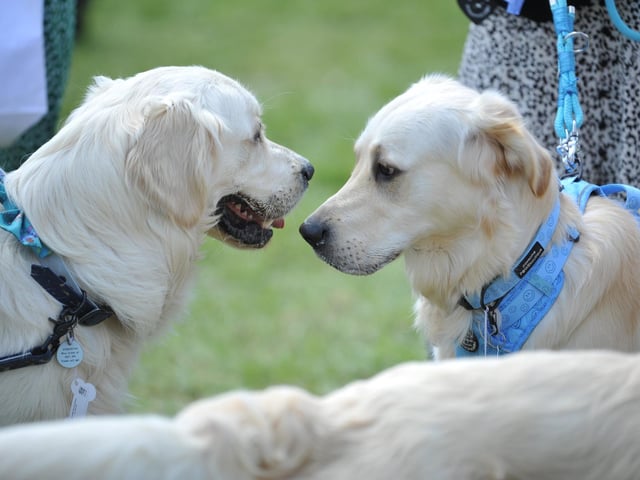 Saturday at Goodwoof 2023. Pic S Robards SR2305201