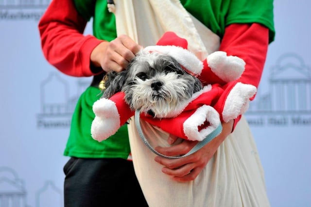 Christmas in Eastbourne: Santa Clause and Santa Paws on the seafront (Photo by JOSEPH PREZIOSO/AFP via Getty Images)