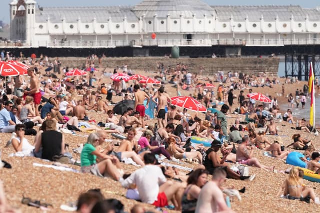Warning issued amid heatwave in Sussex and Surrey: This is how to keep ...