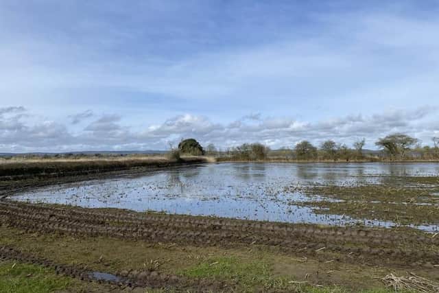 The brook land in Flansham, near Bognor Regis, has been severely flooded since late October. More than 100 acres of once good wheat growing land is now uncroppable. Photo: Sam Morton