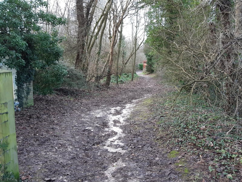 As you follow the path down, you will eventually see a road ahead.