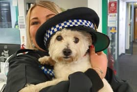 Alvin was reunited with his owner after he was found by Hastings Police, but not before he received ‘lots of cuddles’ from the officers on duty.