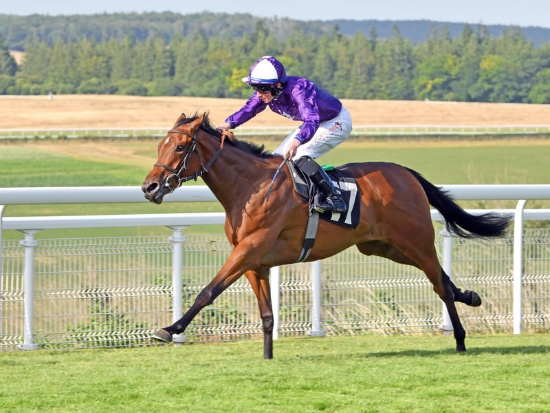 QATAR GOODWOOD THURSDAY
GOODWOOD, CHICHESTER
ENGLAND
JULY 28th 2022
PHOTOGRAPHER: Malcolm Wells
// NOTE: these are race results not necessarily who is in the picture //
Meeting: QATAR GOODWOOD FESTIVAL MEETING
THIRD DAY
Race:Seventh
Time:5.20pm
1st:Sparkling Beauty
Jockey:Rossa Ryan
2nd:She's Hot
Jockey:Jim Crowley
3rd:Enola Grey
Jockey:Jack Mitchell
Picture: Malcolm Wells
Professional Photographer
E: malcolmrichardwells@gmail.com:Images from Ladies' Day at Glorious Goodwood - the Qatar Goodwood Festival - in 2022