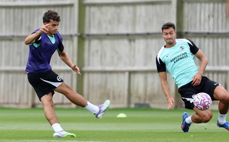 The Sweden international has been the pick of Albion midfielders in pre-season and is a likely starter against Fulham.