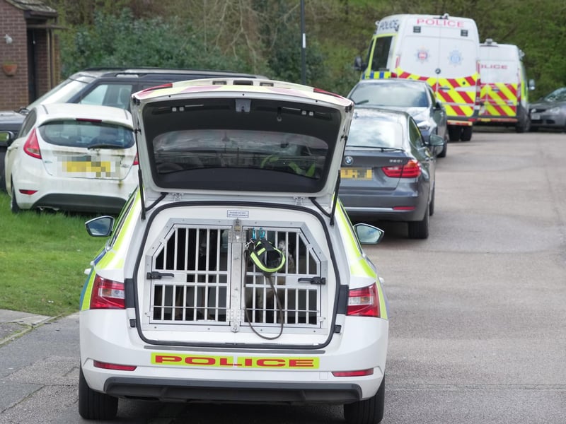 He remains in custody while enquiries continue, Sussex Police added.