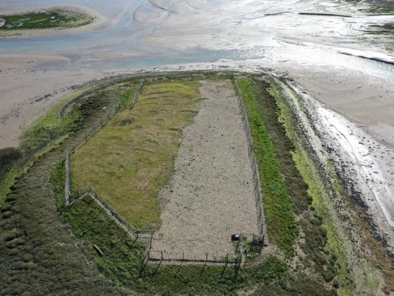 An island at low tide at RSPB Pagham Harbour. Photo: Mark Appleton / RSPB / the Press Association
